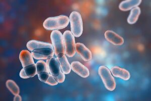 bacteria enfermedad periodontal