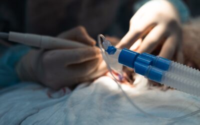 Beneficios de la Sedación en Odontología: Una Experiencia Dental Sin Miedo