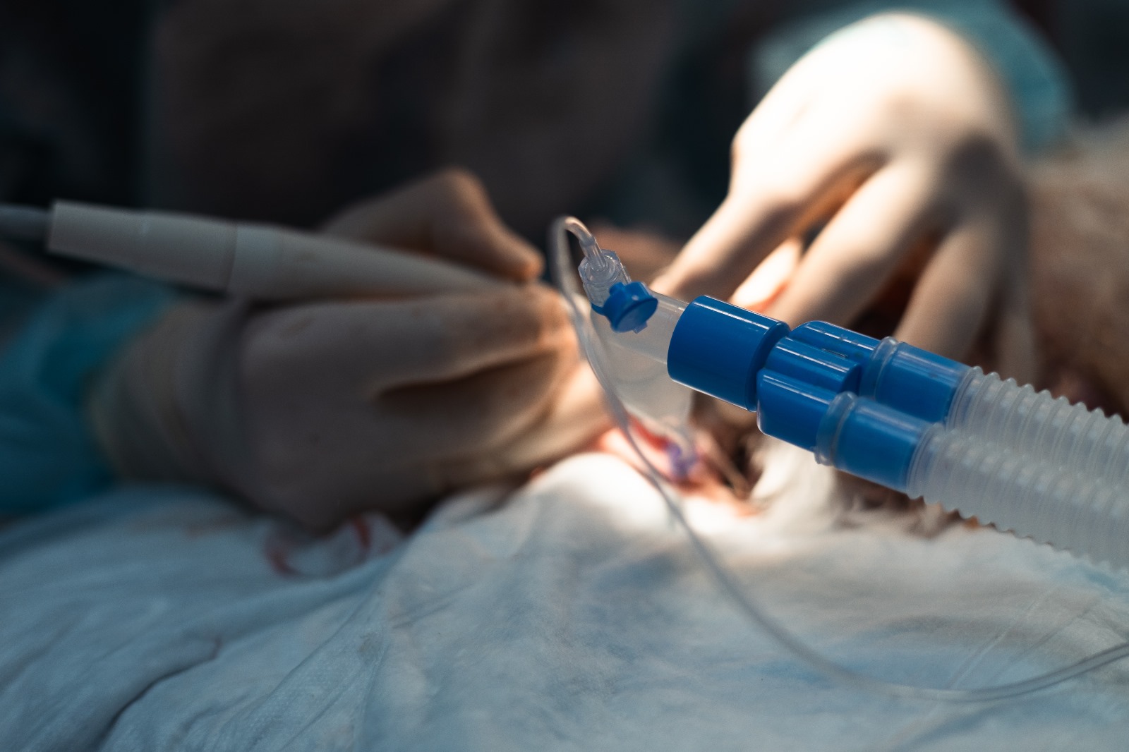 sedacion en pamplona sedacion pamplona