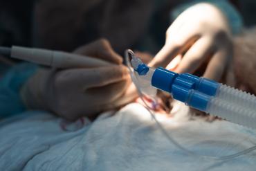 Sedación consciente en Pamplona