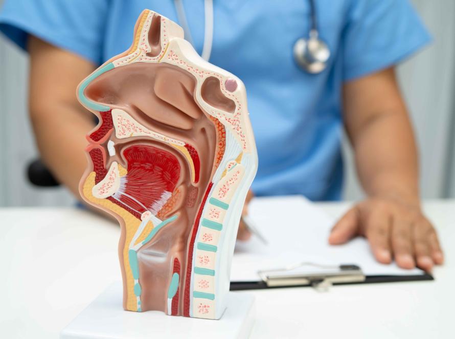 Rehabilitacion masticatoria respiratoria (RMR) en Pamplona